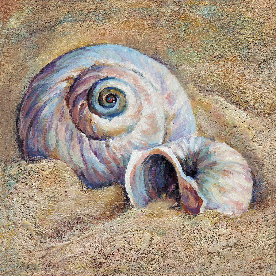 Nautilus Shells Painting By Jan Condon