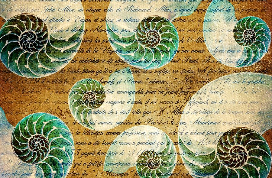 Nautilus Shells On Old Parchment Photograph by Suzanne Powers