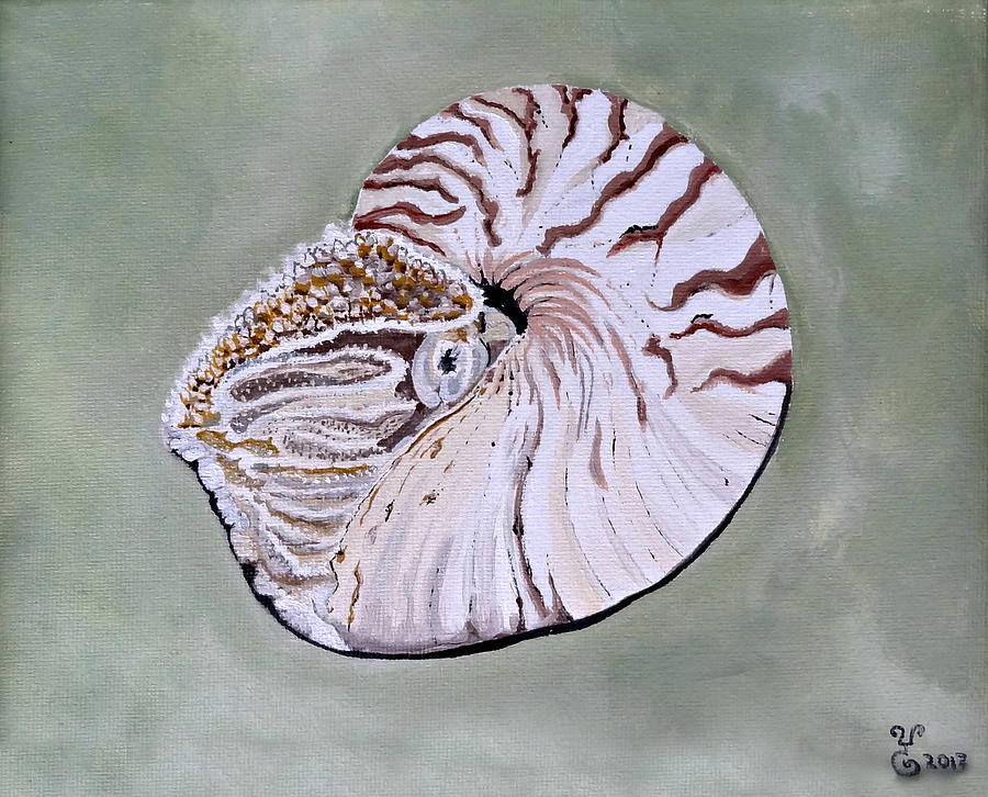 Nautilus Painting