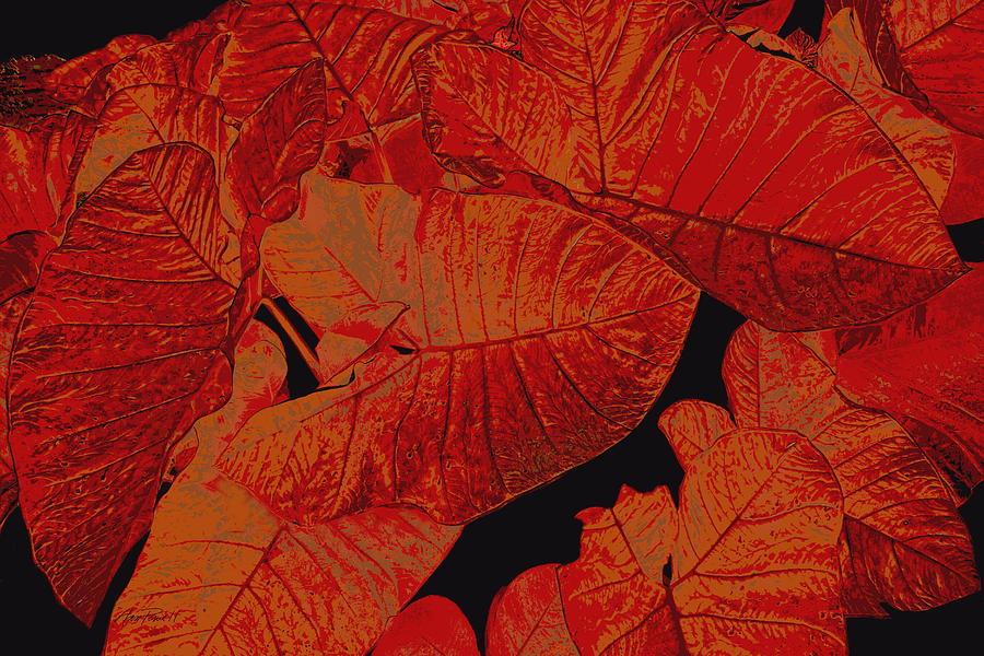 Nature Photograph - nature - art- Leaves in Red by Ann Powell