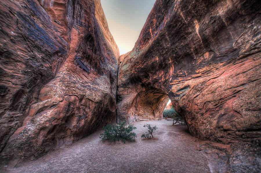 Navajo Arch Photograph by William Wetmore