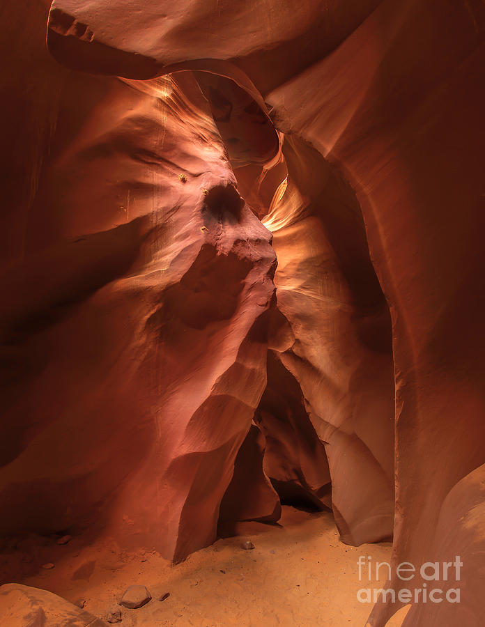 Navajo Canyon Chief Photograph by Marco Crupi