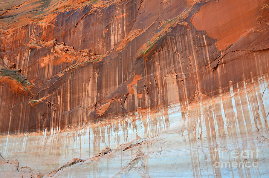 Navajo Canyon Wall Tapestry Photograph by Debra Thompson