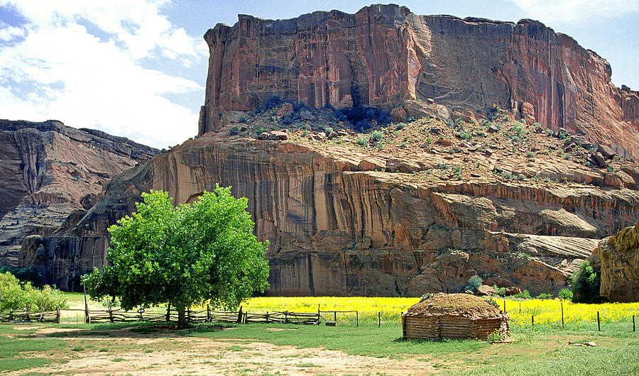 Navajo Hogan In Canyon de Chelly Photograph by Buddy Mays