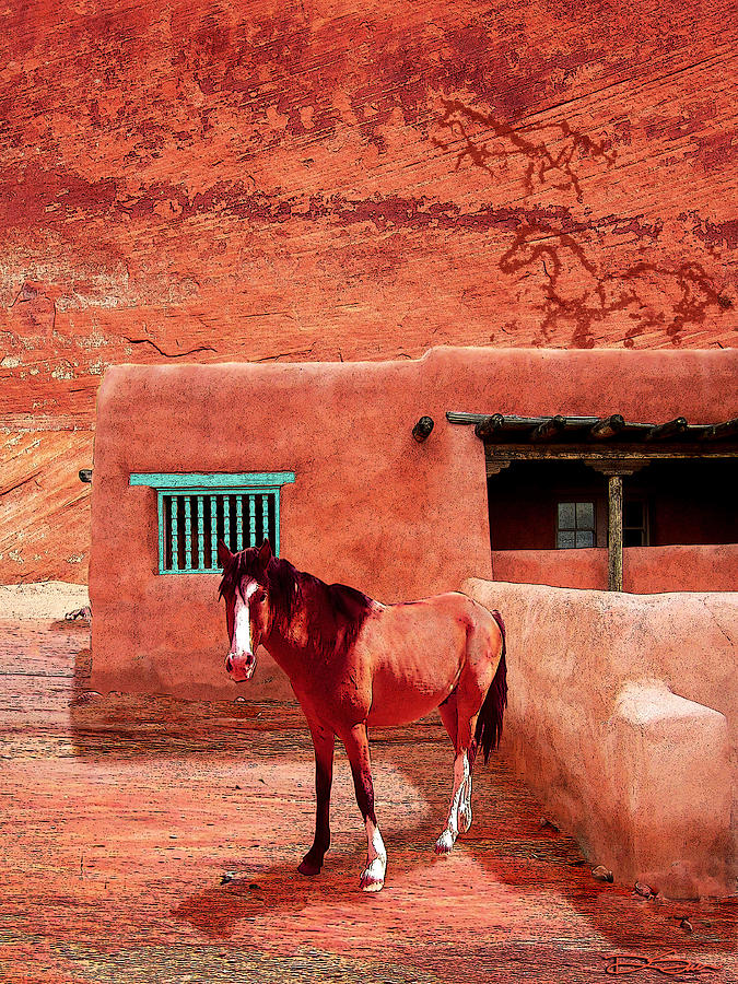 Desert Photograph - Navajo Horse by Ric Soulen
