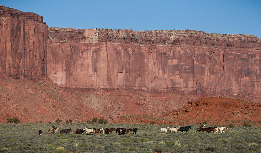 Navajo Mustangs Photograph by Diane Bohna