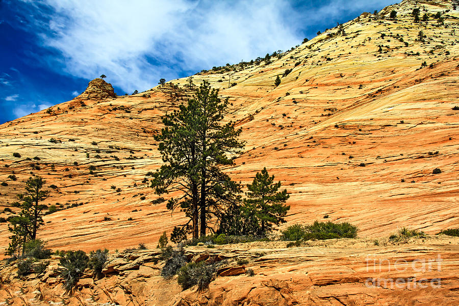 Navajo Sandstone Photograph by Robert Bales