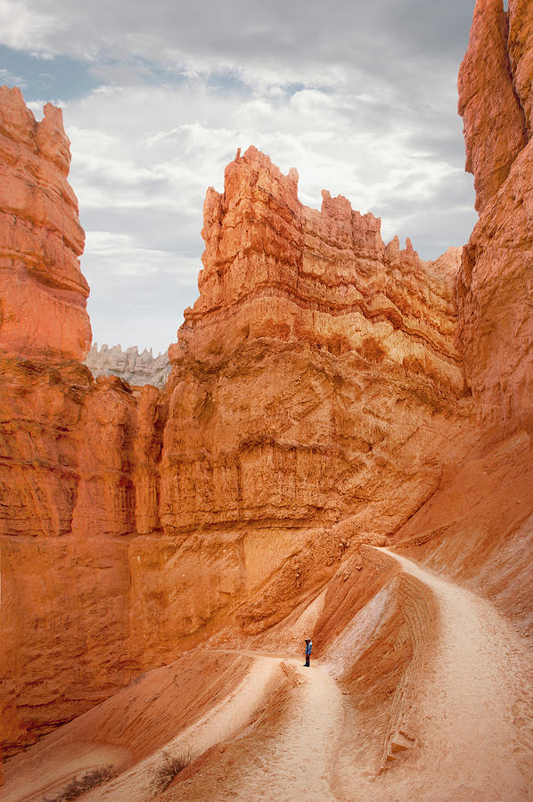 Navajo Trail Loop, Bryce Canyon Photograph by Ed Freeman