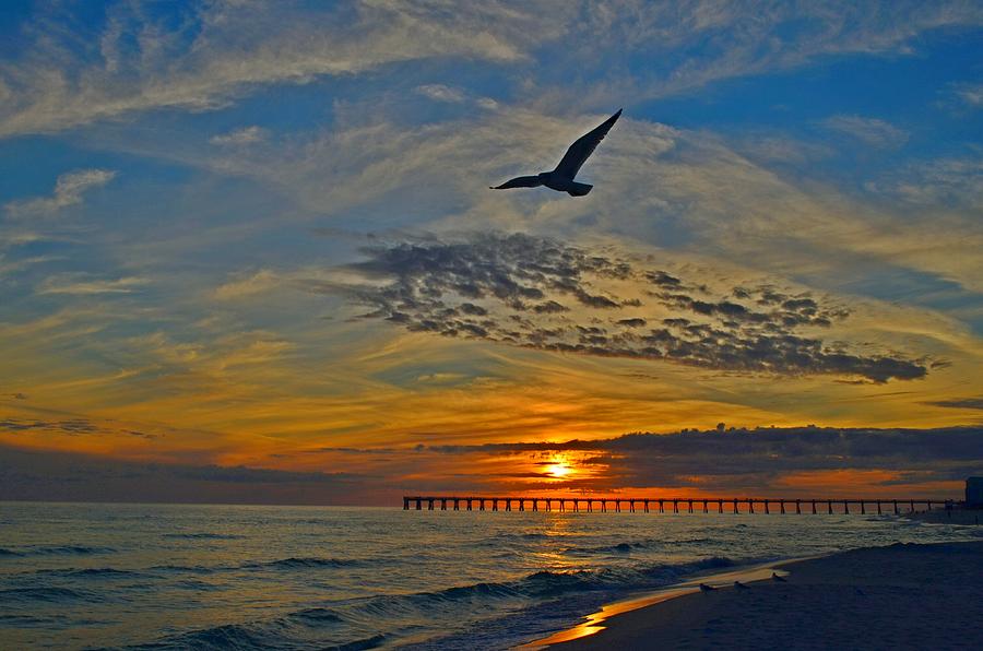 Navarre Beach and Pier Sunset Colors with Gulls and Waves Photograph by Jeff at JSJ Photography