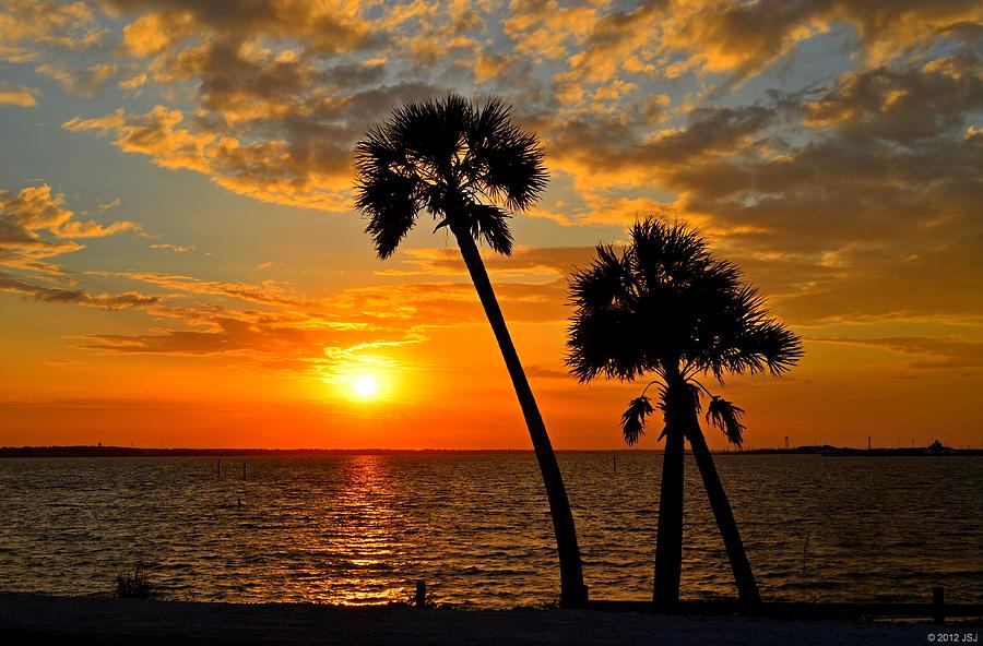 Navarre Beach Bridge Sunrise Palms Photograph by Jeff at JSJ Photography