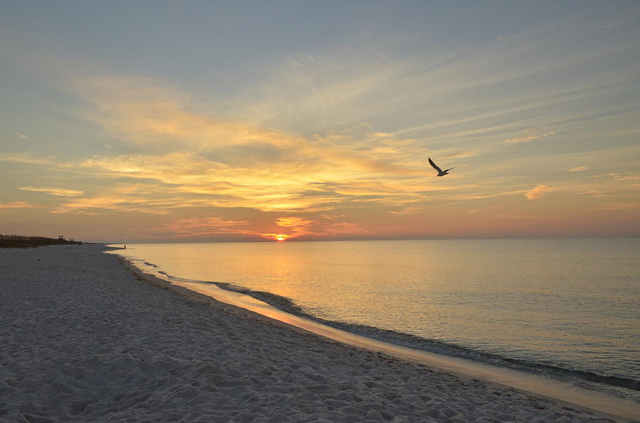 Navarre Beach Sunrise Photograph By Irene Nicole Photography