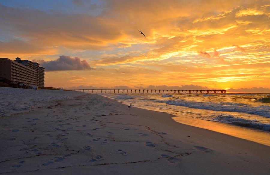Navarre Pier and Navarre Beach Skyline at Sunrise with Gulls Photograph by Jeff at JSJ Photography