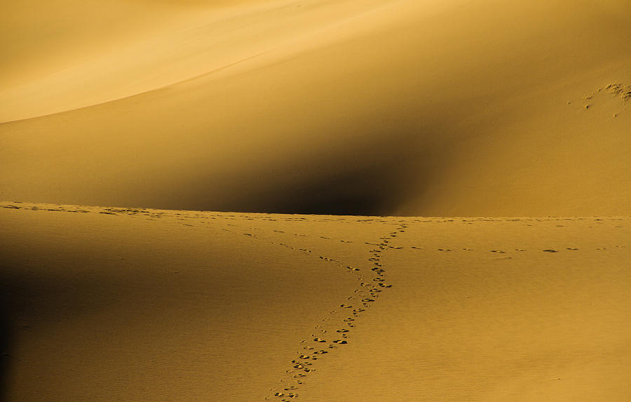 Death Valley National Park Photograph - Navel of the dunes by Kunal Mehra