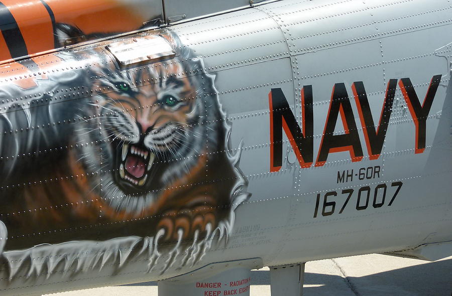 Navy Tiger Photograph by Jeff Lowe