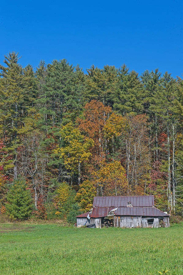 NC Fall Foliage and Old Barn Photograph by Willie Harper