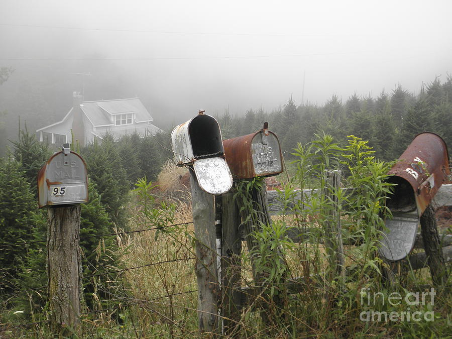 NC Mailboxes Photograph by Valerie Reeves