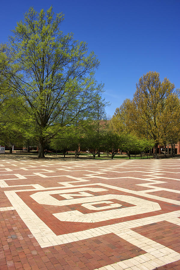 North Carolina State University Photograph - NC State Brickyard by Orange Cat Art
