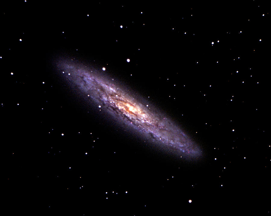 Ncg 253 Galaxy Photograph by Jason T. Ware