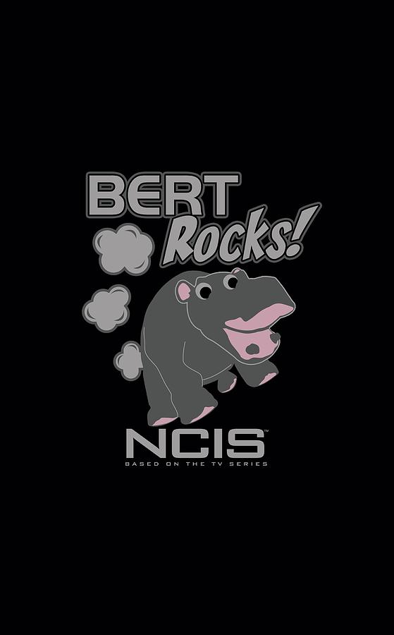 ncis bert