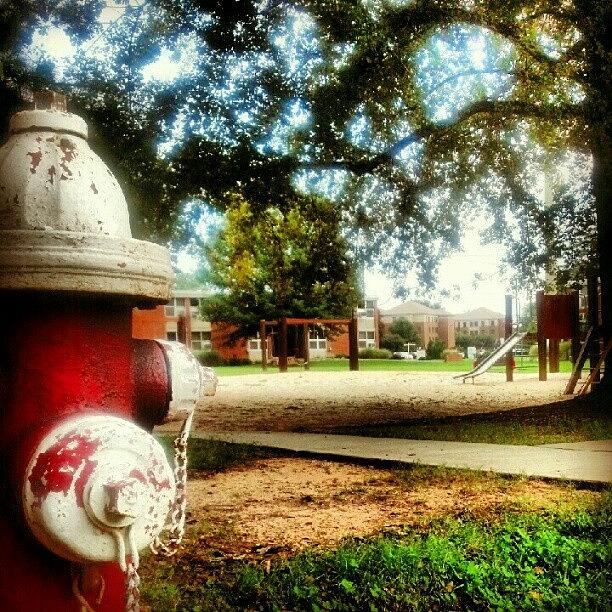 #ncstate Photograph by James Hamilton