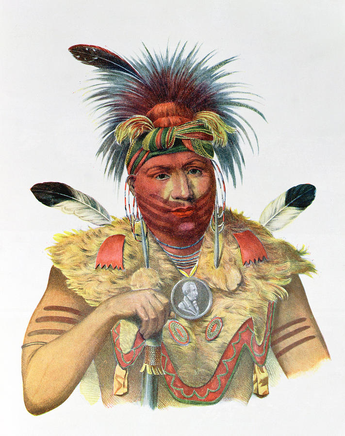 Ne-sou-a-quoit, A Fox Chief, Illustration From The Indian Tribes Of North America, By Thomas L Photograph by Charles Bird King