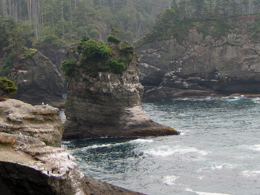 Neah Bay at Cape Flattery II Photograph by Tikvahs Hope
