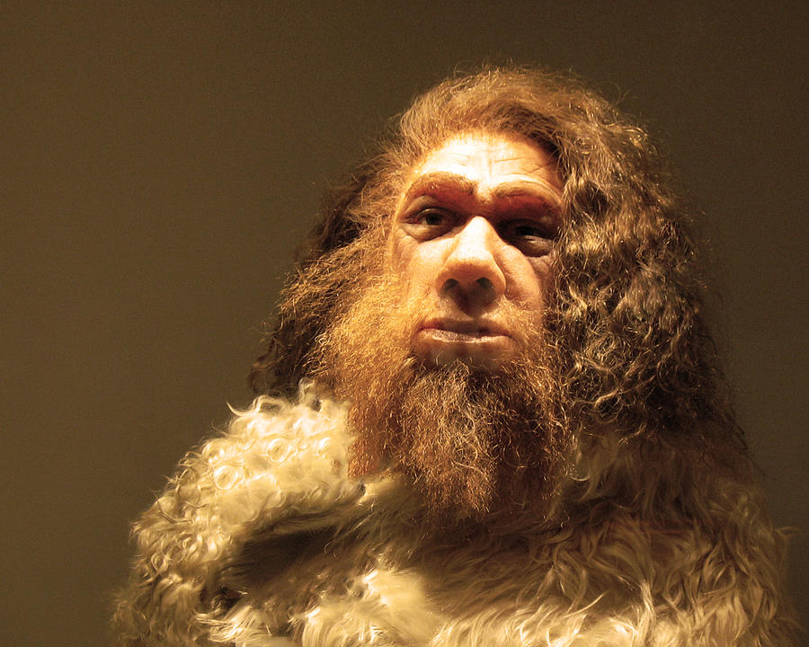 Neanderthal Man Photograph by Connie Fox