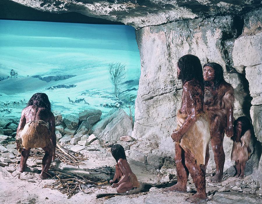 Neanderthal Family Photograph by Natural History Museum, London/science Photo Library