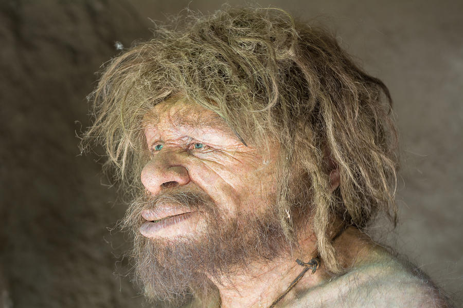 Neanderthal Man Photograph by Mair Hunt