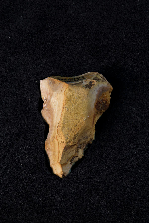 Neanderthal Stone Tool Photograph by Marco Ansaloni / Science Photo Library
