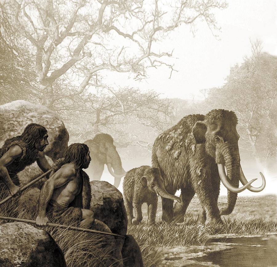 Neanderthals hunting mammoth, artwork Photograph by Science Photo Library