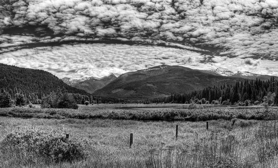 Near Bull Lake Montana Photograph by Lee Santa