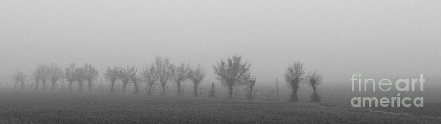 Black And White Photograph - Nebbia by Michele Messina