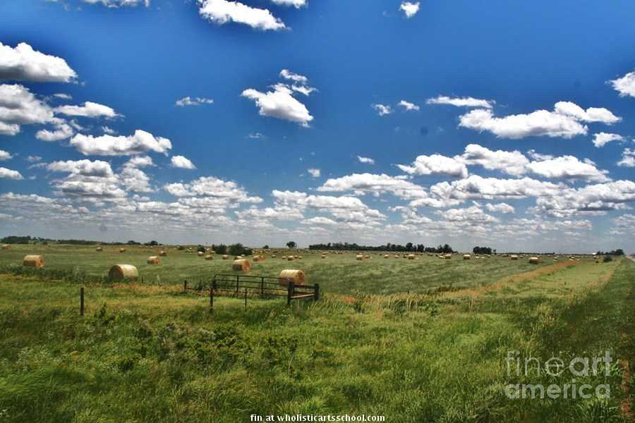 Nebraska Hay Baling Photograph by PainterArtist FIN