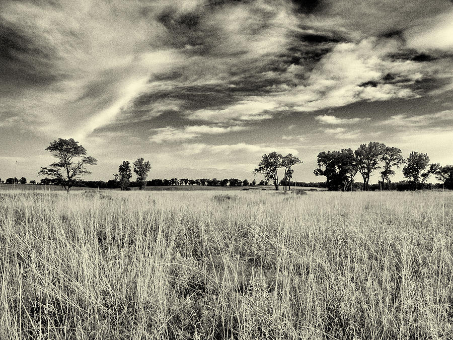 Nebraska Prairie One in Black and White Photograph by Joshua House