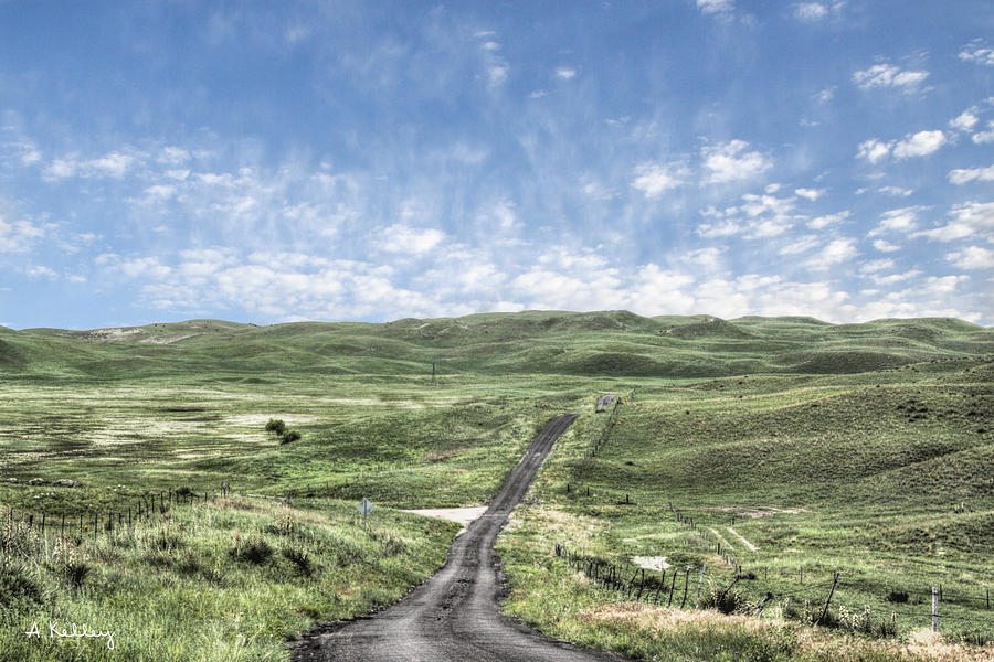 Nebraska Sandhills Photograph by Andrea Kelley - Fine Art America