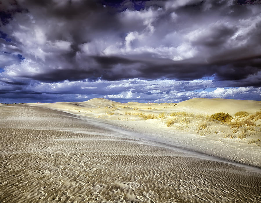 Nature Photograph - Nebraska Sandhills Dunes by Mountain Dreams