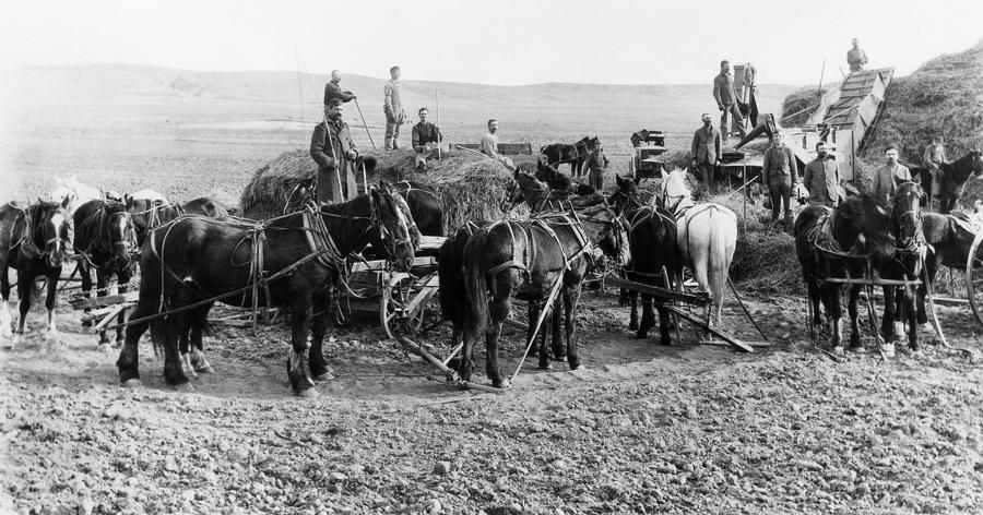 Nebraska Threshing, 1886 Photograph by Granger