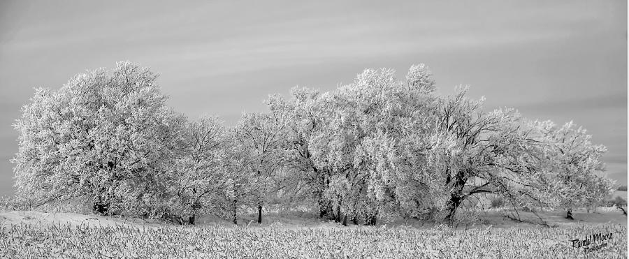 Nebraska Winters by A Hint of Color Photography Nebraska Winters by A Hint of Color Photography