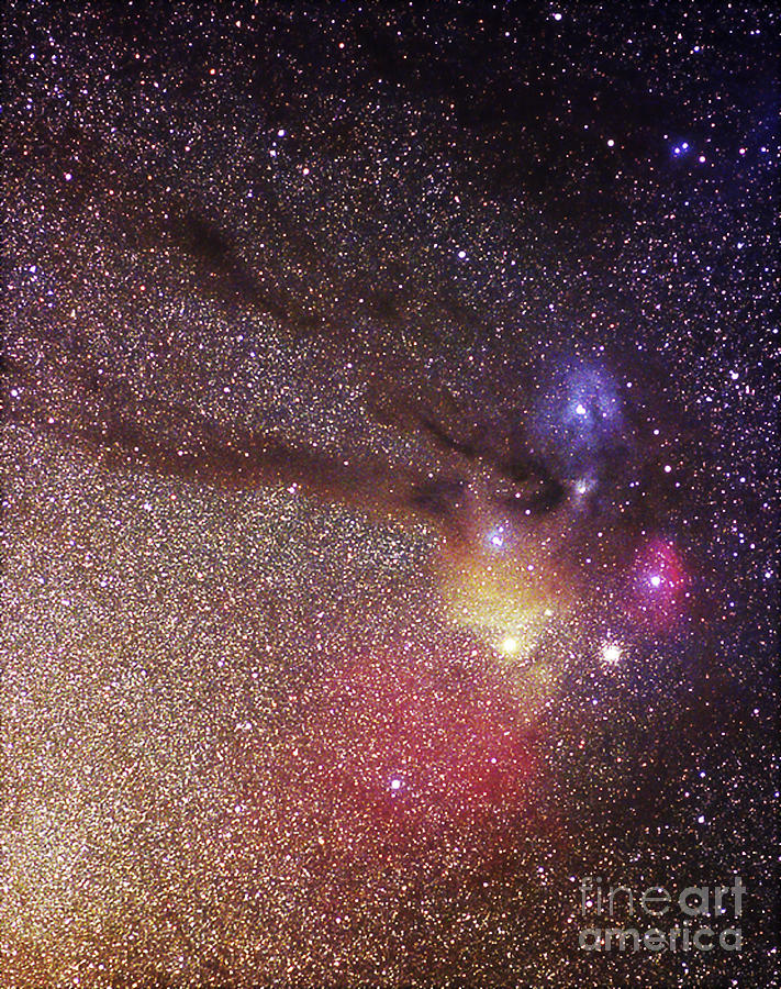 Nebula Complex In Scorpius Photograph by Chris Cook