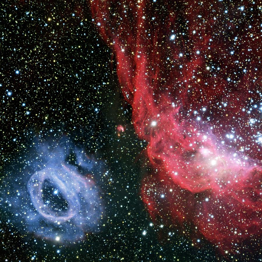 Nebulae Ngc 2020 And Ngc 2014 Photograph by European Southern Observatory
