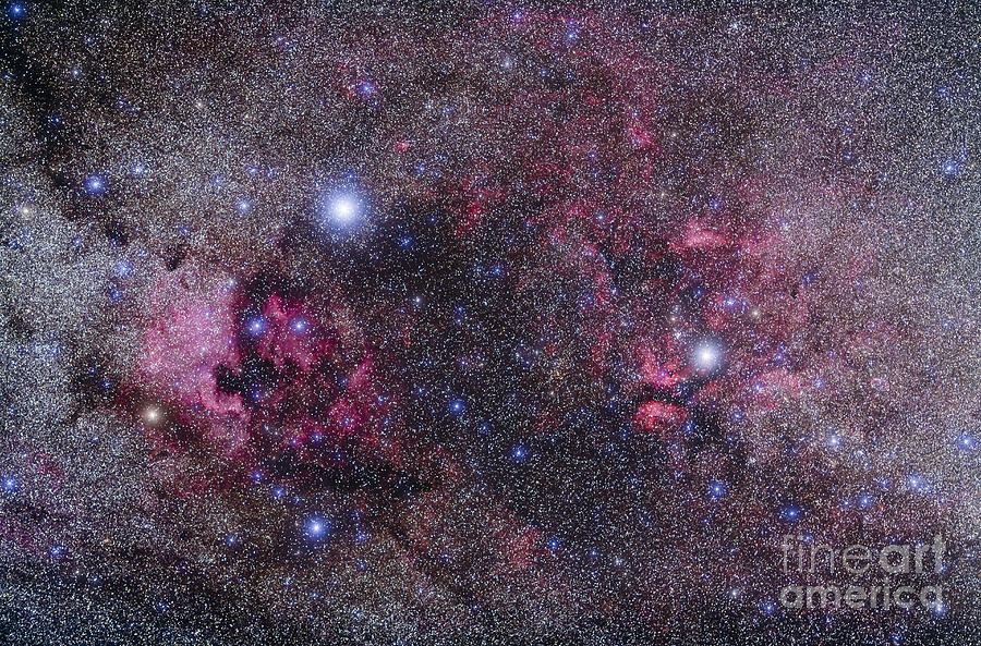 Space Photograph - Nebulosity In Cygnus by Alan Dyer