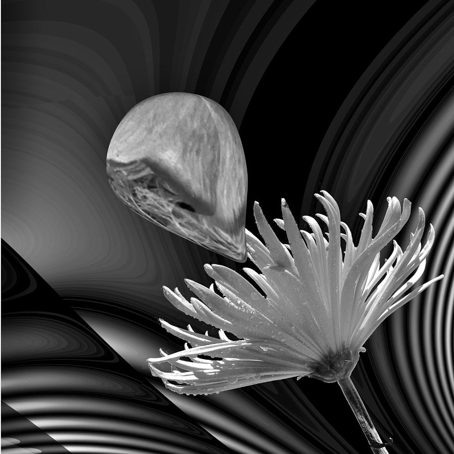 Black And White Digital Art - Nectar of the Gods BW by Barbara St Jean