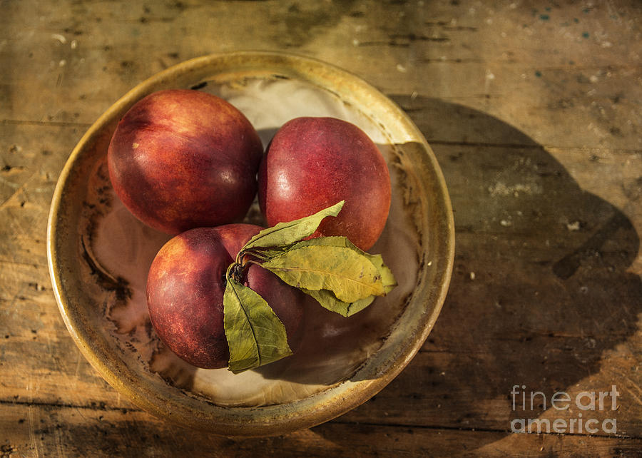 Nectarines in a Bowl Photograph by Terry Rowe