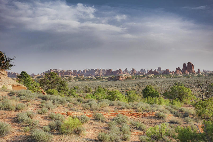 Needles District In Canyonlands Photograph By Suzanne Stroeer Pixels   Needles District In Canyonlands Suzanne Stroeer 