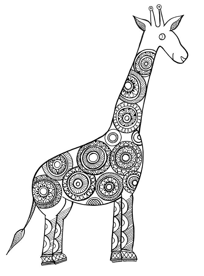 Black And White Drawing - Neeti Animal Giraffe by MGL Meiklejohn Graphics Licensing