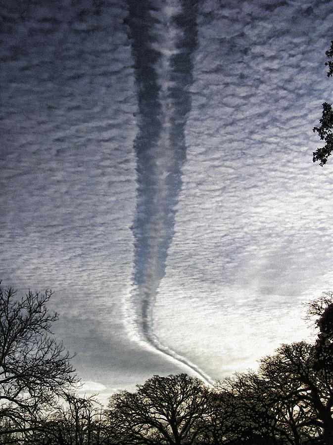 Negative Contrail Photograph by Shannon Story