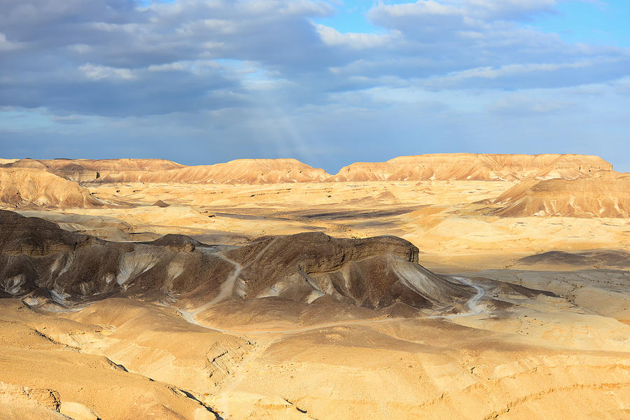 Negev Desert Photograph By Nika Lerman   Negev Desert Nika Lerman 