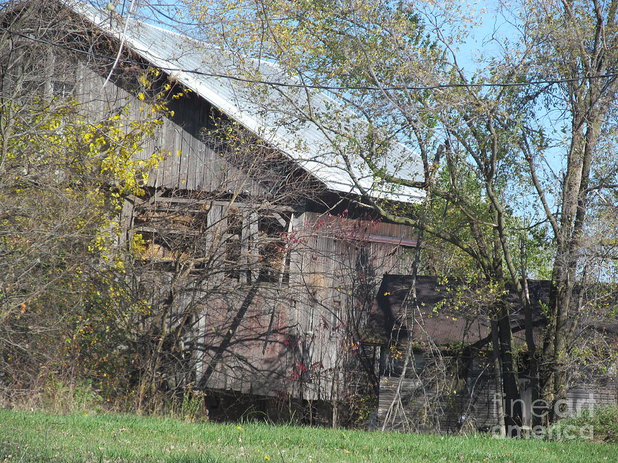 Farm Photograph - Neglected Farm Property One by Tina M Wenger