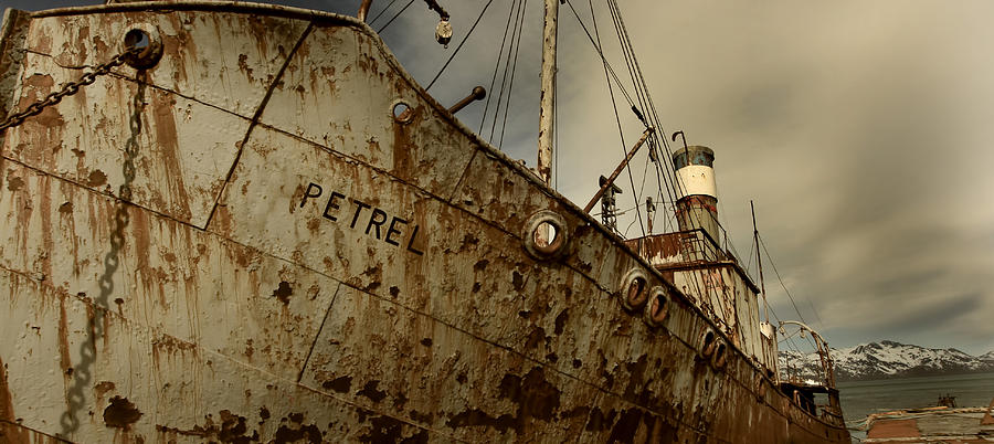 Neglected Whaling Boat Photograph by Amanda Stadther
